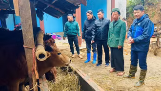 Xã Hạnh Phúc: Dư nợ tín dụng chính sách đạt 137.868 triệu đồng