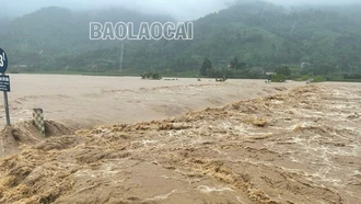 Lũ lớn tại huyện Văn Bàn và thị xã Sa Pa gây nhiều thiệt hại về nhà ở