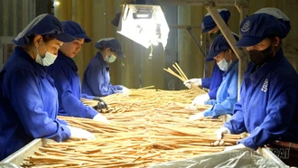 Hợp tác xã đồng hành cùng tỉnh hướng tới mục tiêu phát triển bền vững