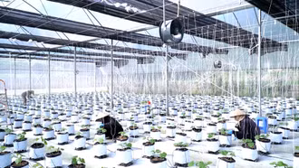 Thúc đẩy cơ giới hóa trong sản xuất nông nghiệp