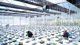 Thúc đẩy cơ giới hóa trong sản xuất nông nghiệp