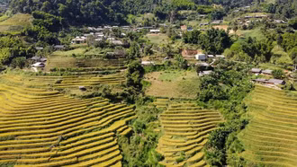 Bí thư chi bộ hết lòng vì dân 