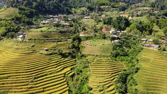 Bí thư chi bộ hết lòng vì dân 