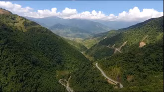 Hương ước bảo vệ rừng ở Púng Luông 