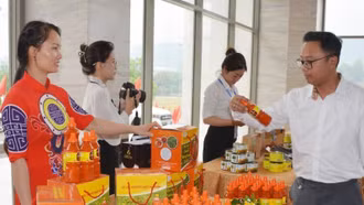 Lào Cai sẽ có khoảng 300 sản phẩm OCOP từ 3 sao trở lên