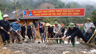 Triển khai cuộc thi trắc nghiệm trực tuyến tìm hiểu về xây dựng nông thôn mới gắn với sản xuất nông nghiệp hàng hóa 