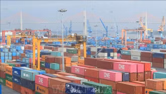 Hướng dẫn xử lý biện pháp phòng vệ thương mại đối với hàng hóa xuất khẩu của Việt Nam