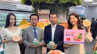 Trái bưởi Việt Nam chính thức được bày bán tại Lotte mart Hàn Quốc