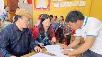 Liên kết tiêu thụ sản phẩm bông tại xã Thào Chư Phìn (Si Ma Cai)