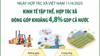 Kinh tế tập thể, hợp tác xã đóng góp khoảng 4,8% GDP cả nước