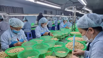 Doanh nghiệp lo ngại khi Mỹ áp thuế mới cho các sản phẩm nhập khẩu từ Việt Nam