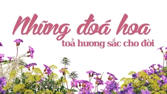 Những đóa hoa tỏa hương sắc cho đời