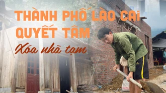 Thành phố Lào Cai quyết tâm xóa nhà tạm