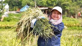 Lào Cai ưu tiên thu hút đầu tư lĩnh vực nông nghiệp