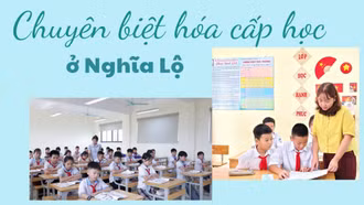 Chuyên biệt hóa cấp học ở Nghĩa Lộ