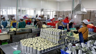 Cận cảnh dây chuyền chế biến dứa ở Bản Lầu