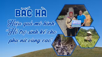 Bắc Hà: Hiệu quả mô hình “Hỗ trợ sinh kế cho phụ nữ vùng cao”