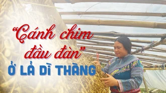 “Cánh chim đầu đàn” ở Lả Dì Thàng