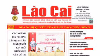 Báo Lào Cai thường kỳ số 230 ra ngày 10/6/2026