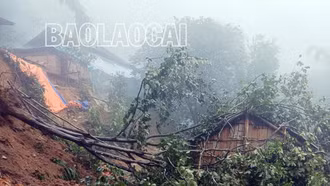 Mưa lũ làm 7 nhà dân ảnh hưởng, 4 tuyến quốc lộ bị sạt lở gây ách tắc giao thông