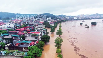 [Ảnh] Nước sông Hồng dâng cao, nhiều khu vực ở thành phố Lào Cai ngập sâu trong nước