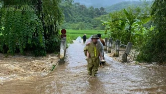 Chủ tịch UBND tỉnh ra Công điện về tập trung các biện pháp phòng, chống và khắc phục thiệt hại do bão số 3 (Yagi) gây ra trên địa bàn tỉnh