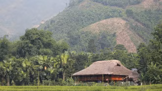 Từ cửa sổ nhà sàn