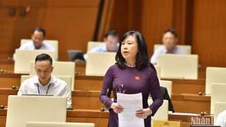 Bộ Y tế khẳng định thông tin 'xử phạt người độc thân' là sai sự thật