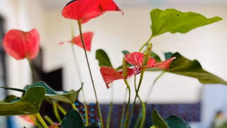 Một chặng đường Cách mạng Tháng Tám