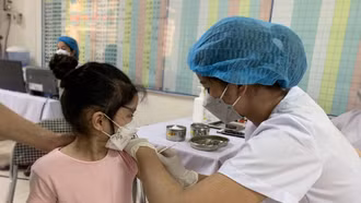 Lào Cai tăng cường phòng, chống viêm não vi-rut và viêm não Nhật Bản