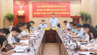 Ban Thường vụ Hội Nông dân tỉnh làm việc với Thường trực Huyện ủy Bát Xát