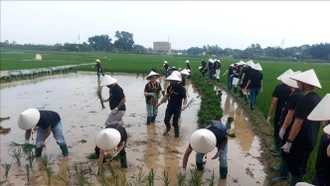 Tạo sức hút phát triển du lịch nông nghiệp, nông thôn