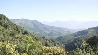 Trạm Tấu chủ động phòng, chống cháy rừng trong mùa khô hanh