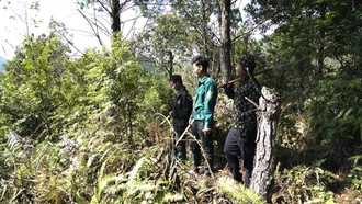 Hành trình trả lại màu xanh cho rừng