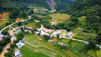 Lao Chải mở lối thoát nghèo bền vững