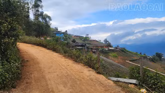 Lợi ích kép từ dịch vụ môi trường rừng ở xã vùng cao Lao Chải