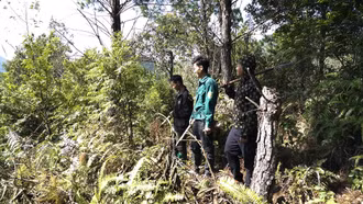 Hành trình trả lại màu xanh cho rừng