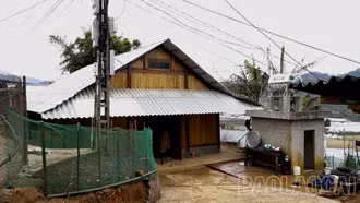 Động lực dưới mái nhà mới