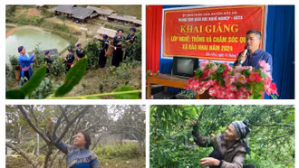 Bắc Hà: Đào tạo nghề cho lao động nông thôn