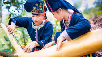 Mùa quế dóc vỏ