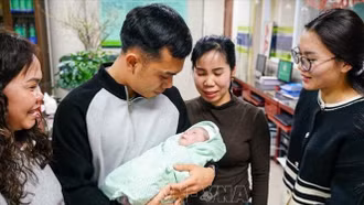 Quyền sinh sản trong một thế giới nhiều biến động - toàn cảnh và góc nhìn Việt Nam