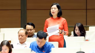 Đại biểu Nguyễn Thị Lan Anh đề xuất 4 nhóm kiến nghị về y tế