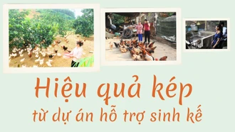 Hiệu quả kép từ dự án hỗ trợ sinh kế