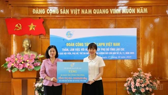 Hội LHPN tỉnh vượt toàn bộ 5 chỉ tiêu đăng ký với Tỉnh ủy