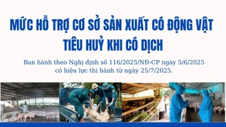 Mức hỗ trợ cơ sở sản xuất có động vật tiêu huỷ khi có dịch