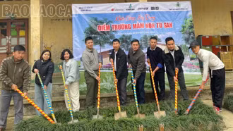 Khởi công xây dựng điểm trường mầm non thôn Tu San, xã Nậm Có