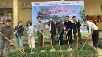 Khởi công xây dựng điểm trường mầm non thôn Tu San, xã Nậm Có