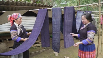 Giữ sắc chàm của người Mông