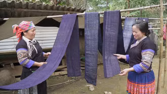 Giữ sắc chàm của người Mông