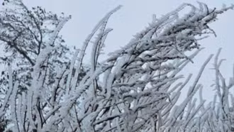 Lần đầu tiên trong năm, băng tuyết phủ trắng đỉnh Lảo Thẩn